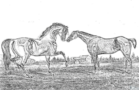 cheval Coloriages À Imprimer